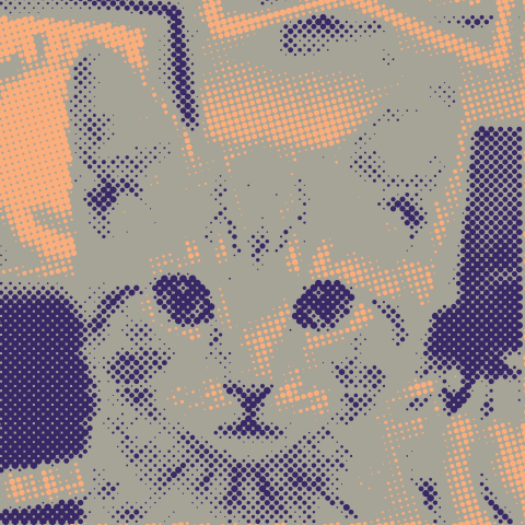 Duotone halftone example